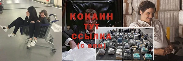 тгк Горно-Алтайск