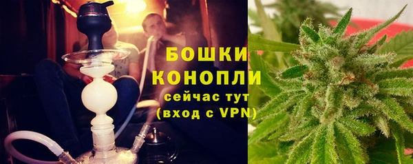 ALPHA PVP Горнозаводск