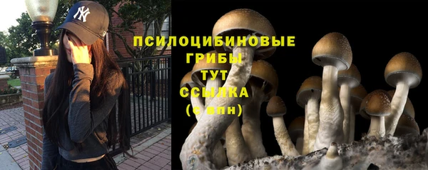 ALPHA PVP Горнозаводск