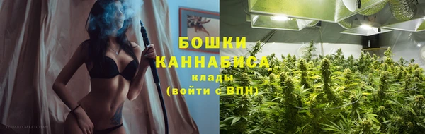 тгк Горно-Алтайск