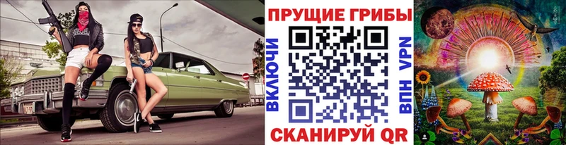 Псилоцибиновые грибы MAGIC MUSHROOMS  kraken зеркало  Ковров 